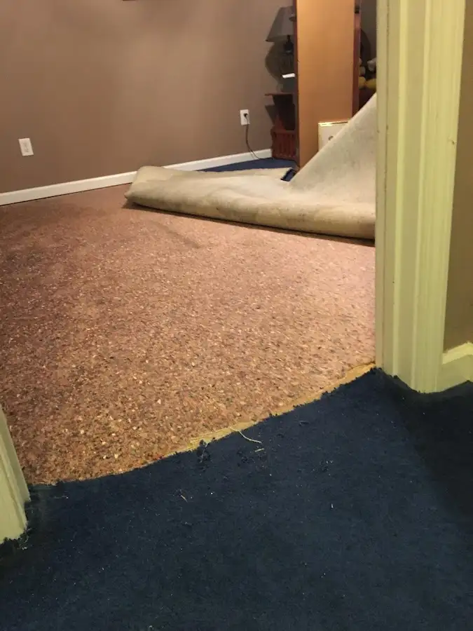 Carpet pad removal revealing water damage during Drying & Dehumidification in Ukiah
