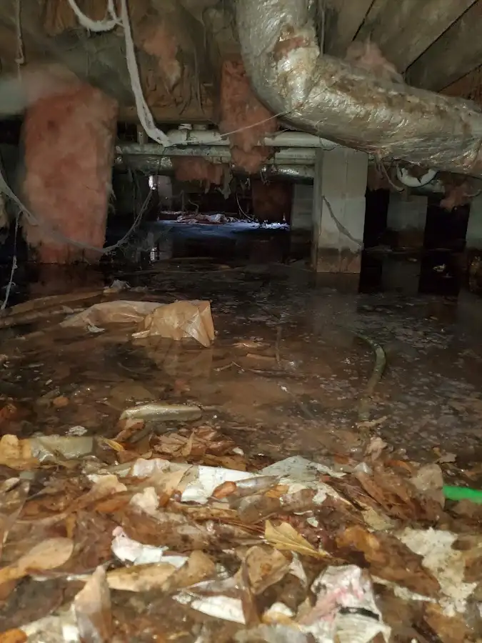 Crawl space flood assessment for Commercial Water Damage Restoration in Ukiah