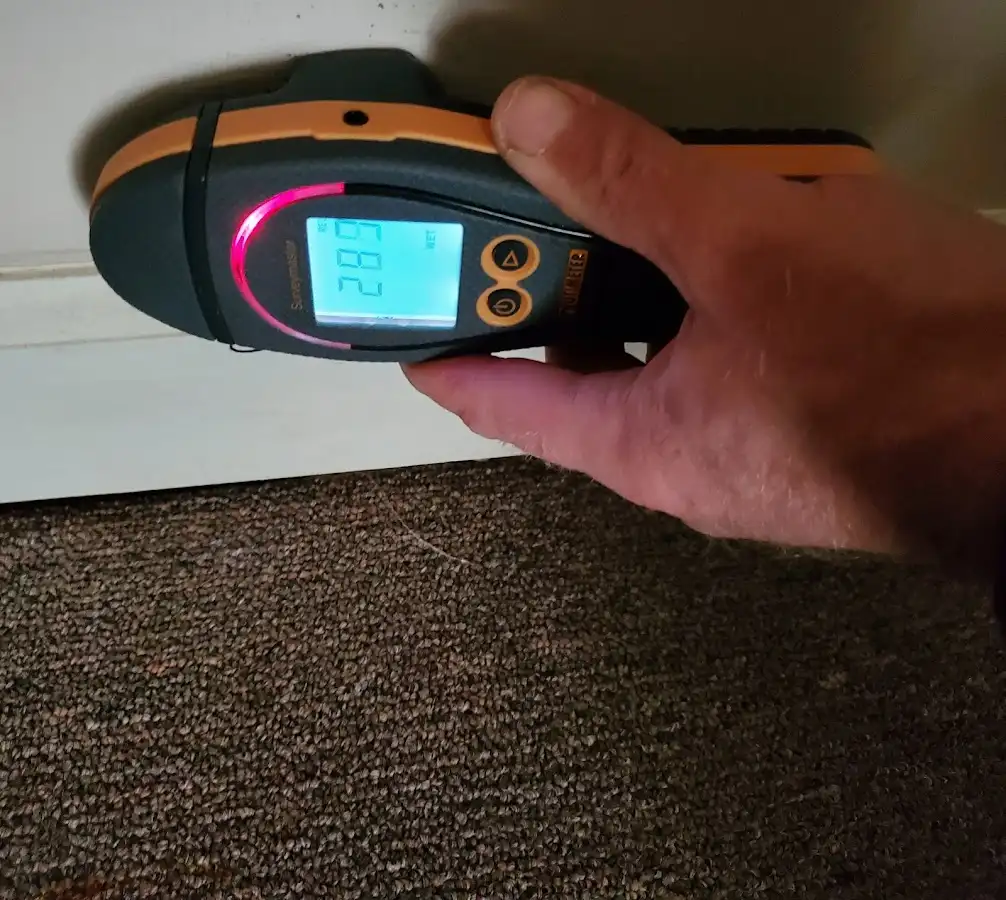 Moisture detection at baseboard during Sewage Cleanup & Sanitation in Ukiah